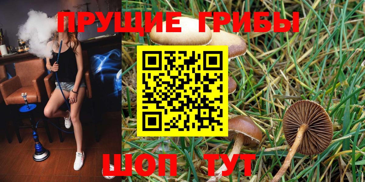 Лянтор  Псилоцибиновые грибы мухоморы  Вход с VPN 